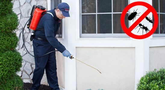Bostanlı Akrep İlaçlama böcek ilaçlama ve haşere kontrolü — ilaclama-tr.com